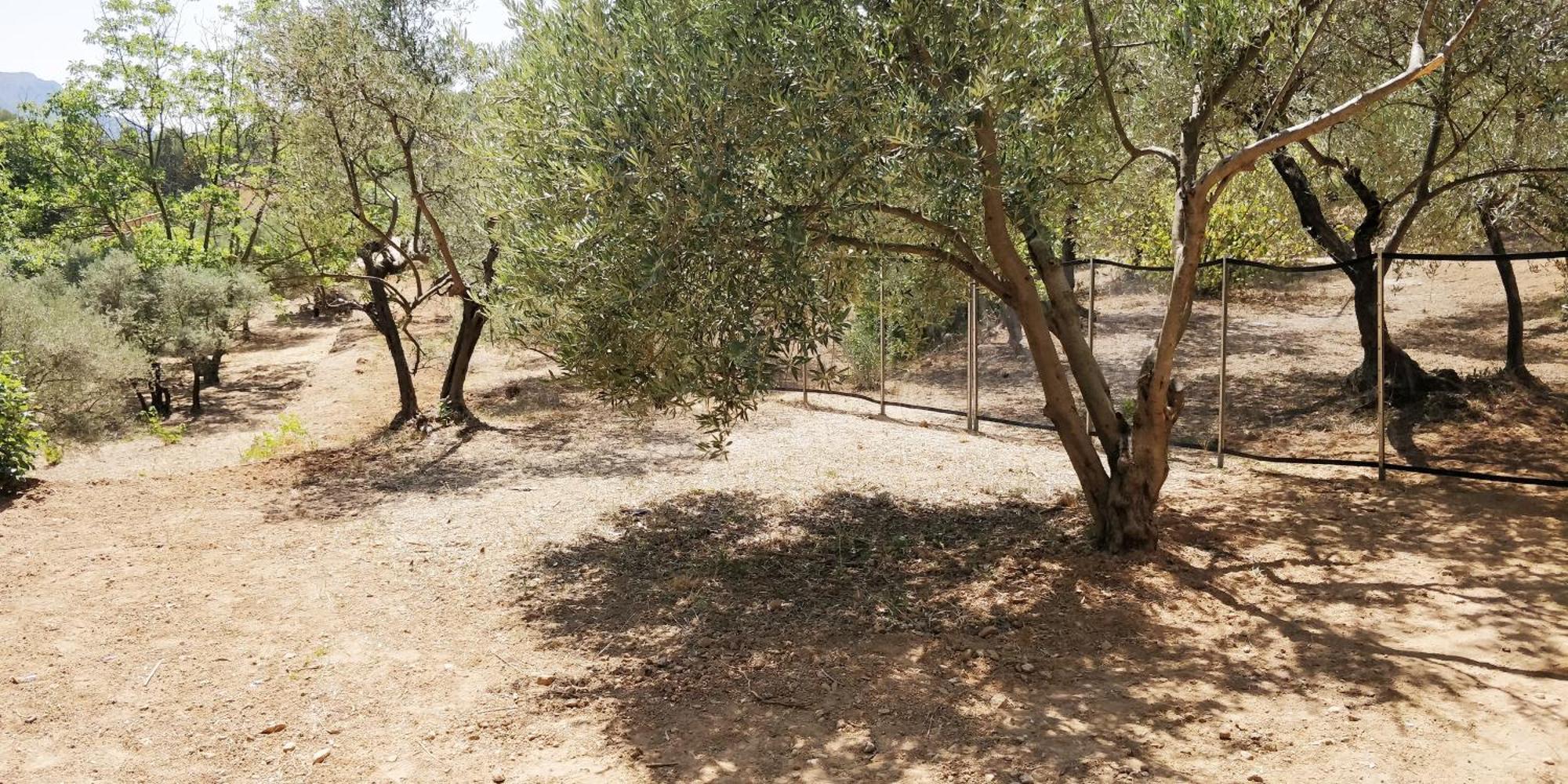 Villa Cigalons En Pleine Pinede Avec Piscine Chauffee De Mai A Septembre Auriol Exterior foto