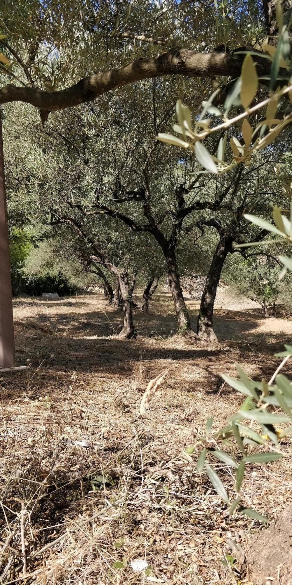 Villa Cigalons En Pleine Pinede Avec Piscine Chauffee De Mai A Septembre Auriol Exterior foto